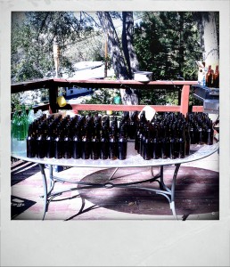 A table full of beer bottles organized and lined up based on bottle type.